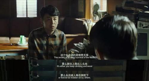 国产电影视频,国产电影中的时代印记与情感共鸣